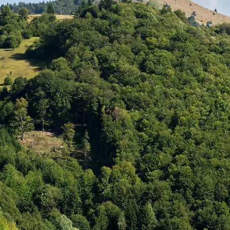 Διαμέρισμα Lawa 22