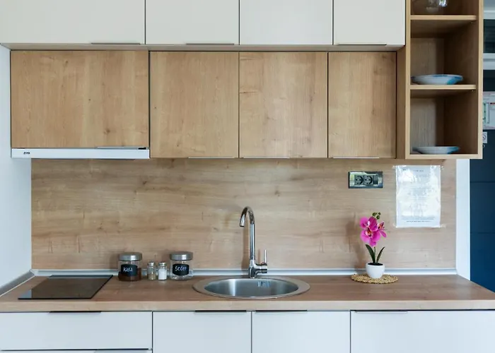 Lawa 22 Apartament Kopaonik